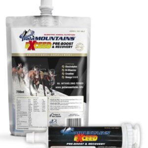 PalaMOUNTAINS Exceed Pre-boost