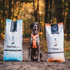 Voeding & Supplementen