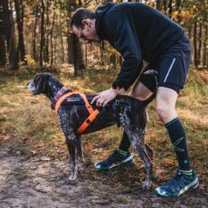 Fit & Train (passervice)