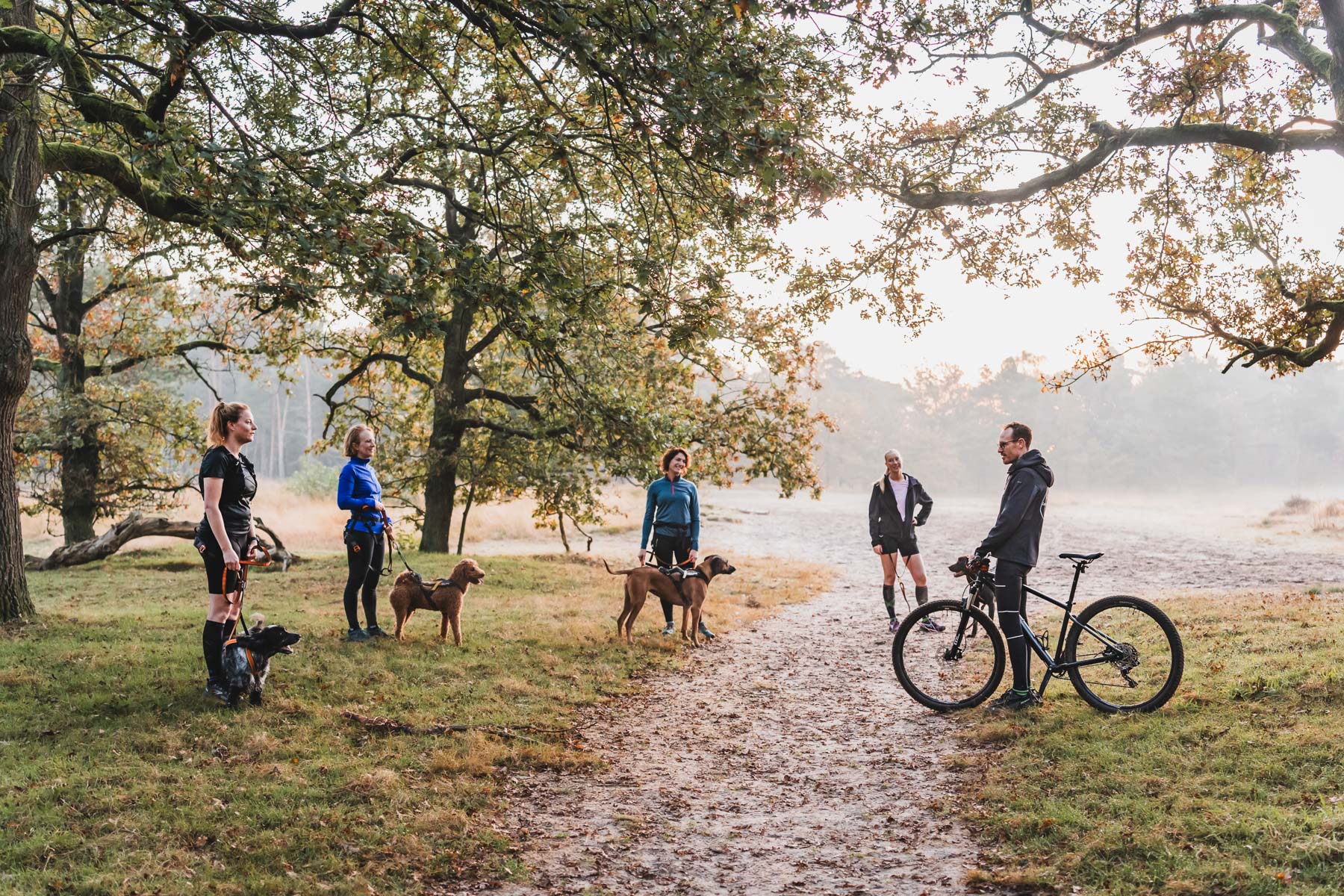 Start2Canicross maart 2026 - zaterdag - Afbeelding 2