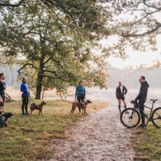 Training & Workshops