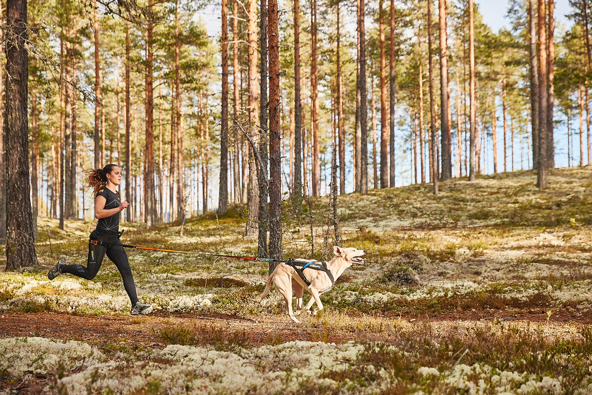 Non-stop Freemotion - Afbeelding 5