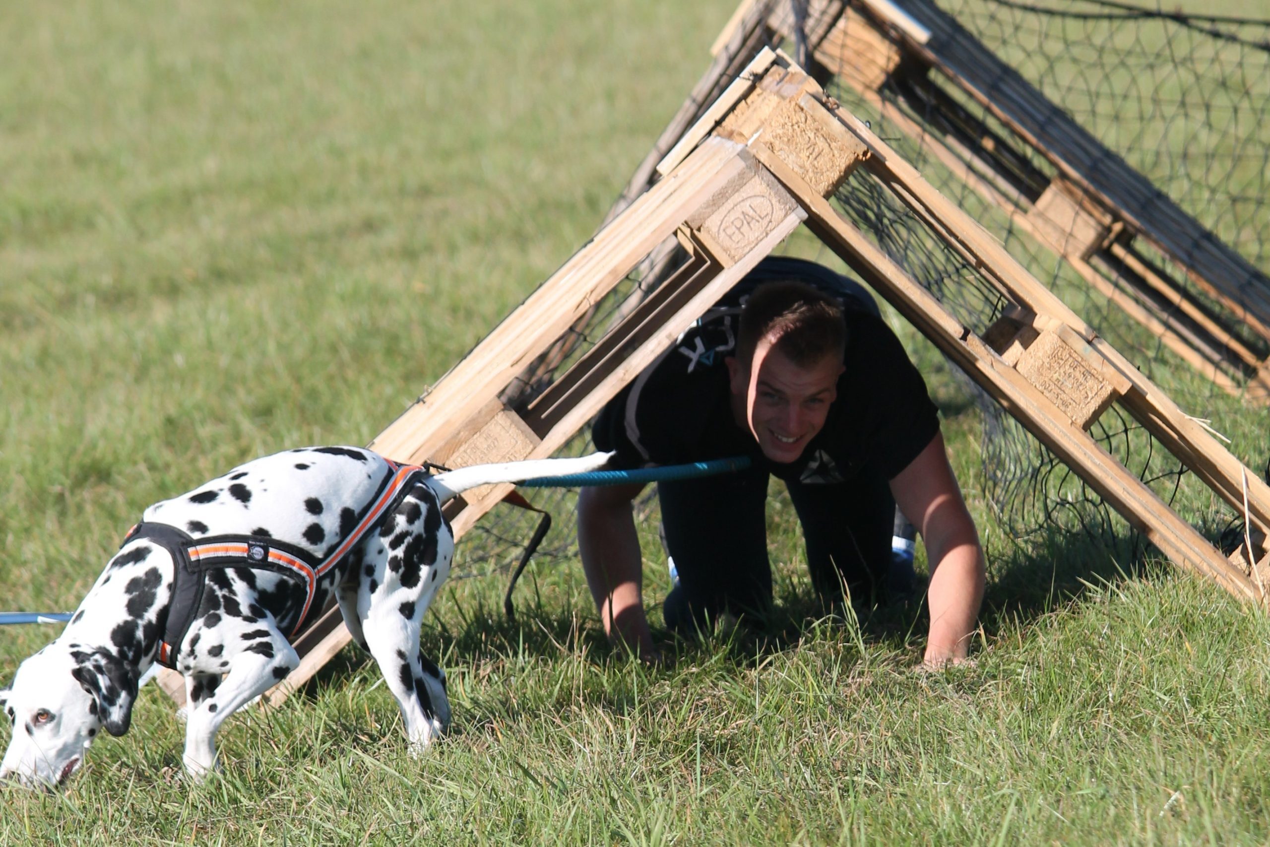 Dogsurviaval2Enjoy 1