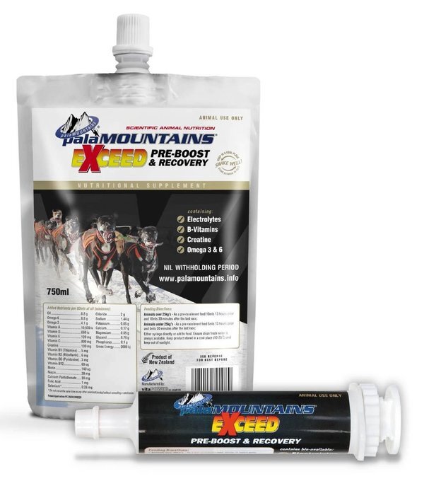 PalaMOUNTAINS Exceed Pre-boost