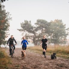 Start2Canicross november 2025