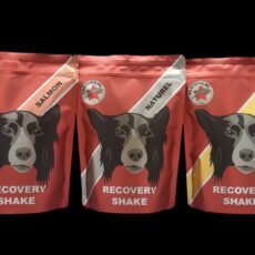 Fastdog Recovery 500 gram