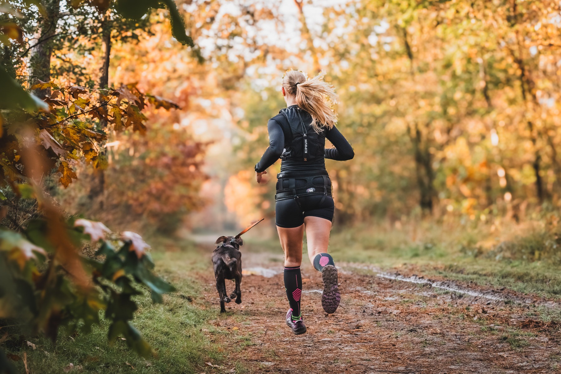 20241025-MerlijnArinaPhotography-CaniSport2Enjoy-Websize-111