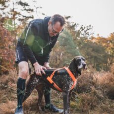 Fit en Train (passervice)